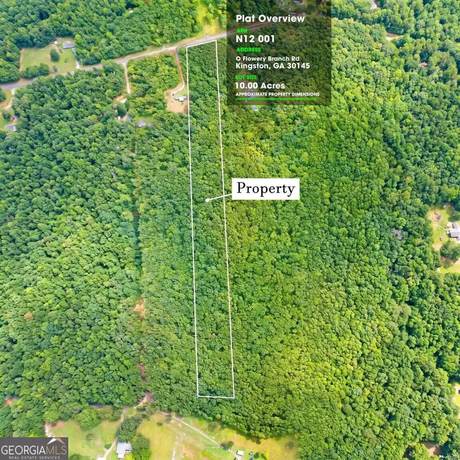 LOT 1 Flowery Branch Road, Kingston, GA 30145 - #2
