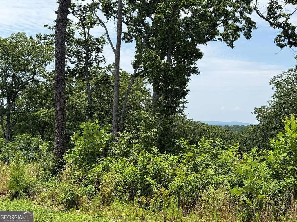 LOT 93 Timberline Trail #93, Talking Rock, GA 30175 - #1