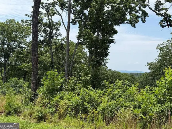 LOT 93 Timberline Trail #93, Talking Rock, GA 30175
