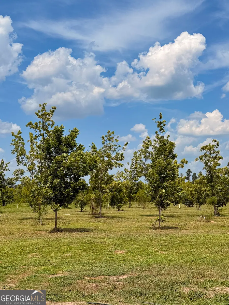 140 Ganas Road, Naylor, GA 31641 - #2