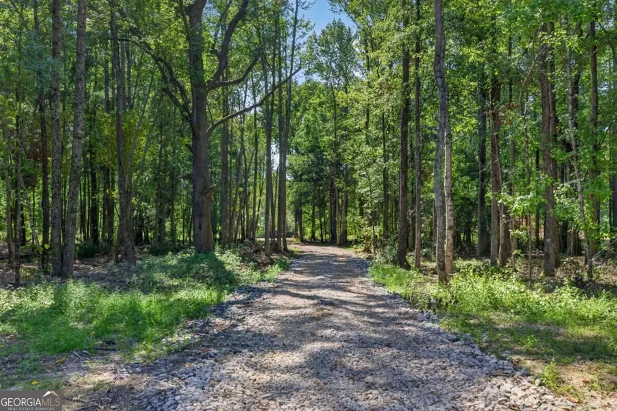 339 Relay Road, Silver Creek, GA 30173 - #3