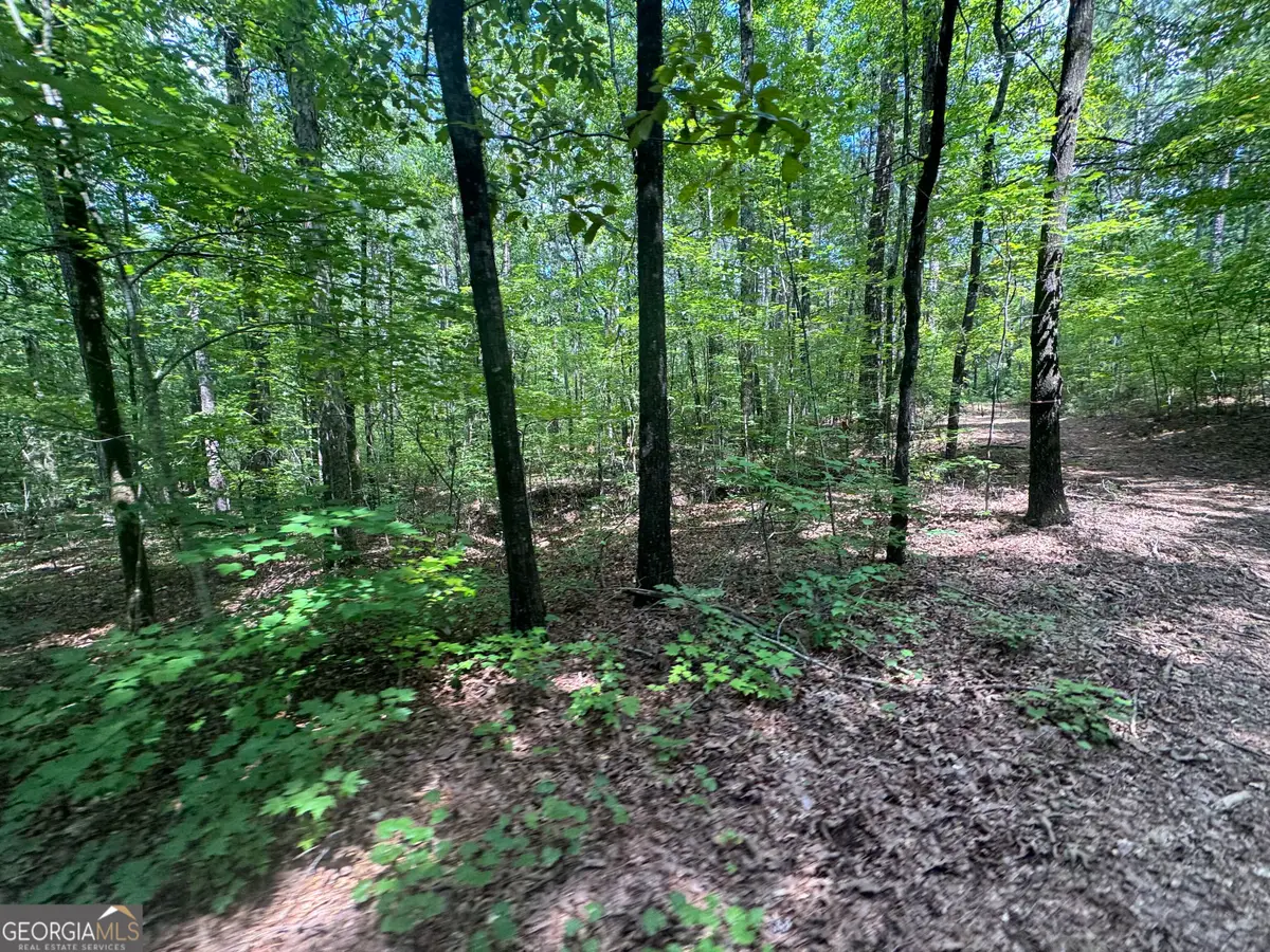 2996 Stokes Store Road, Forsyth, GA 31029 - #1