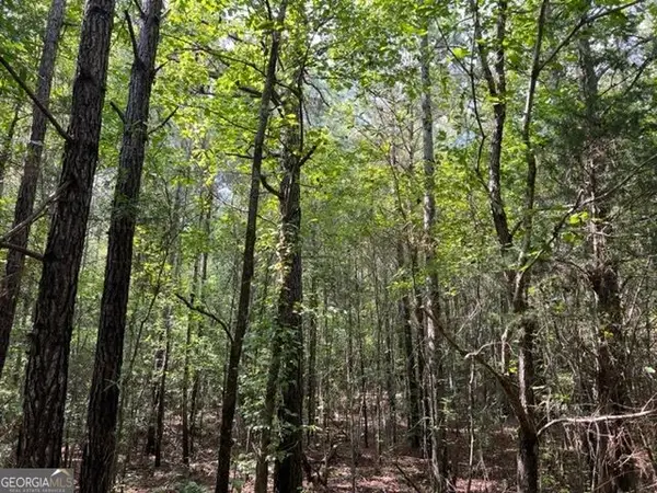 0 Lipham Road, Franklin, GA 30217