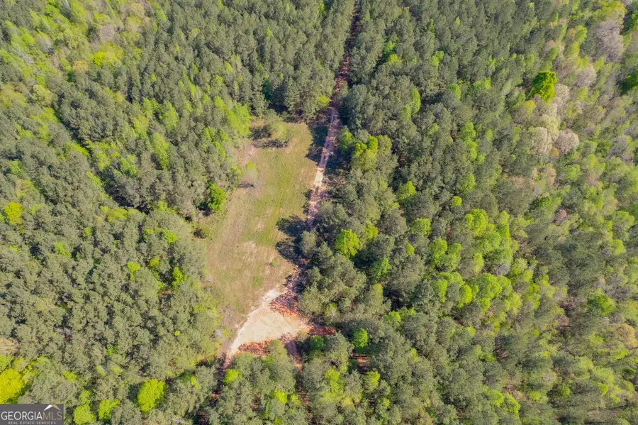 0 Lipham Road, Franklin, GA 30217 - #2