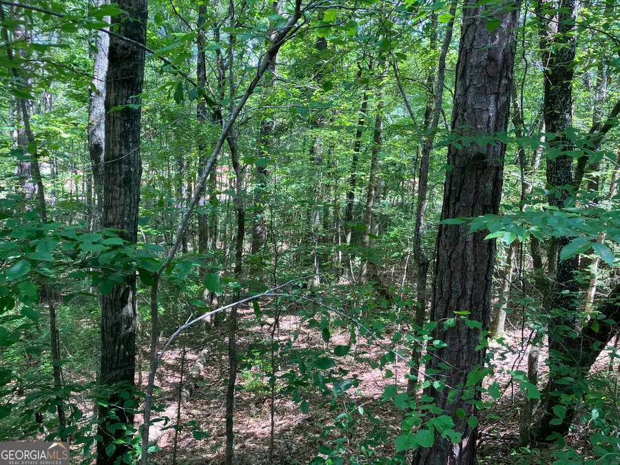 2.03 AC Johnson Mill Road, Hamilton, GA 31811 - #2