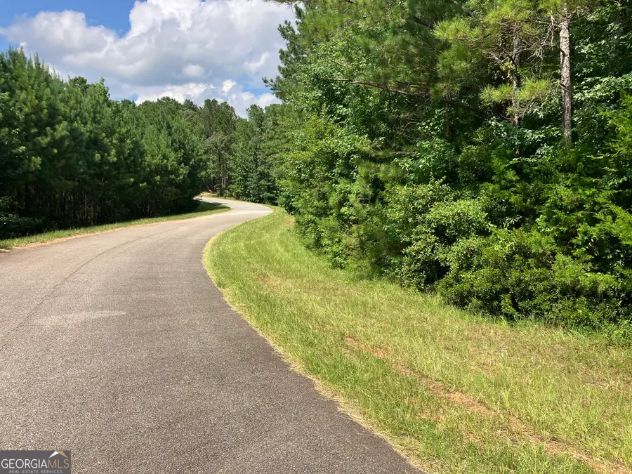 2.03 AC Johnson Mill Road, Hamilton, GA 31811 - #3