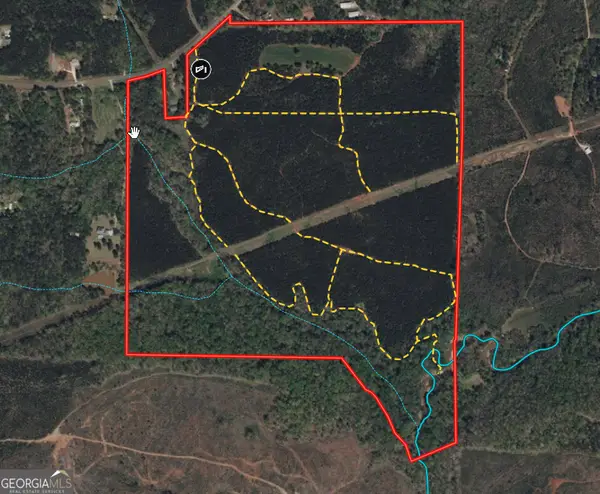 180.14 AC Johnson Mill Road, Hamilton, GA 31811