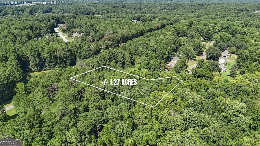 LOT 13 Wake Field Dr, Newnan, GA 30265 - #2