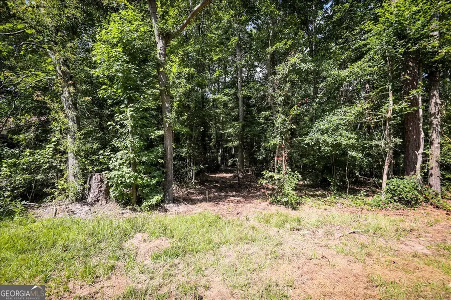 3132 Macedonia Road, Powder Springs, GA 30127 - #3