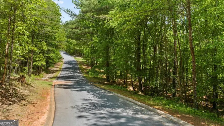 0 Golden Delicious Road, Clarkesville, GA 30523 - #2