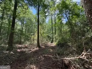 LOT 17 Smith Road, Thomaston, GA 30286