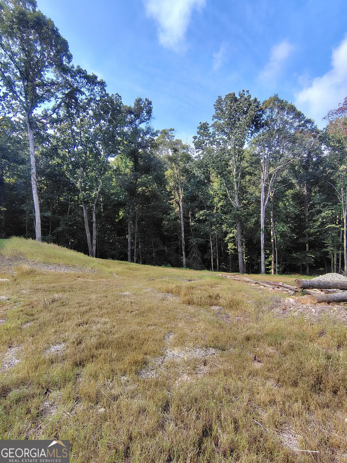 245 Brad St, Royston, GA 30662 - #1