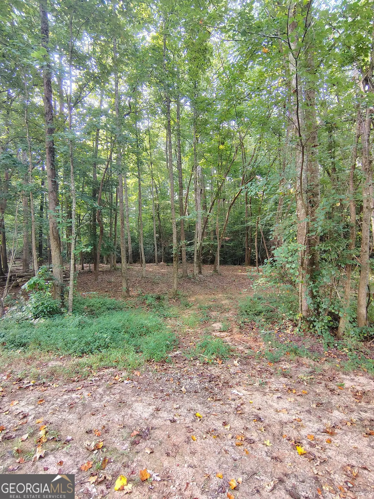 261 Brad St, Royston, GA 30662 - #1