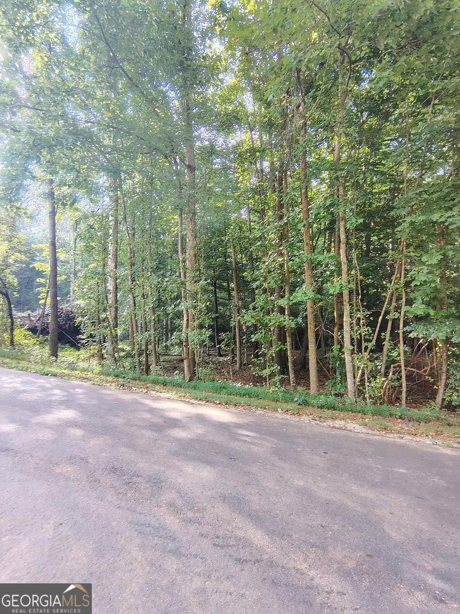 261 Brad St, Royston, GA 30662 - #2
