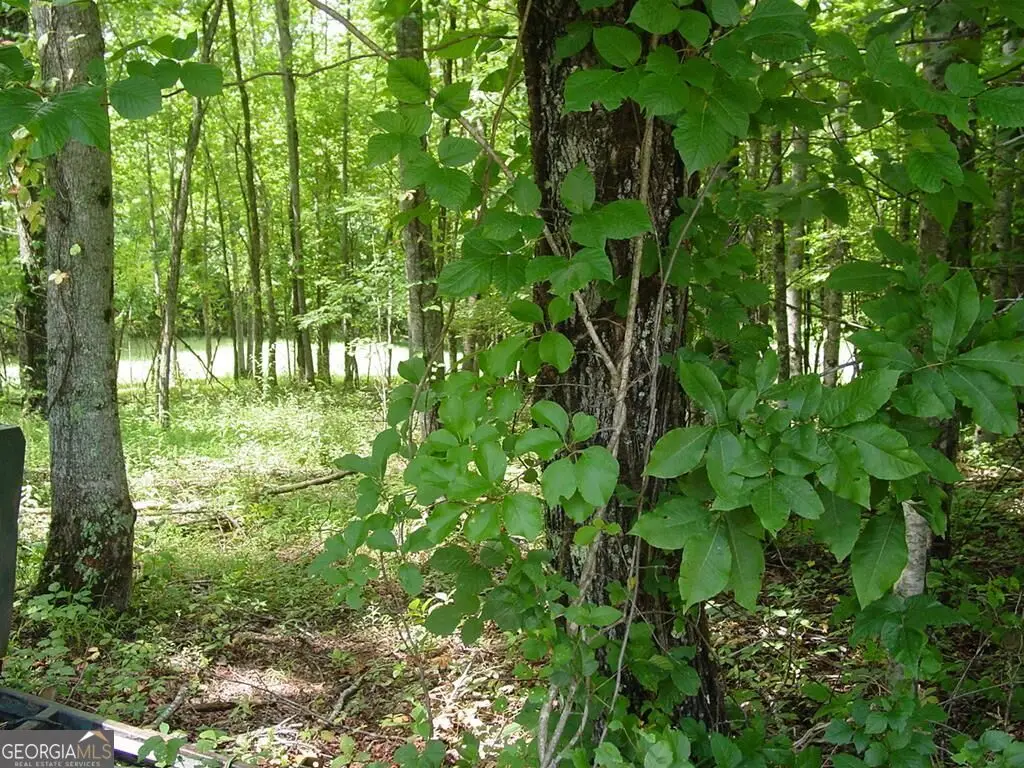 #13 Dan Knob, Hayesville, NC 28904 - #1