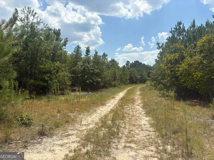 L11 N Indian Trail Road, Sandersville, GA 31082 - #2