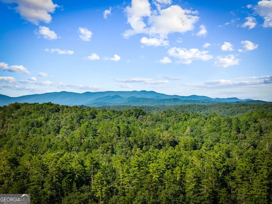 107 Fish Tale Cove, Ellijay, GA 30540 - #2