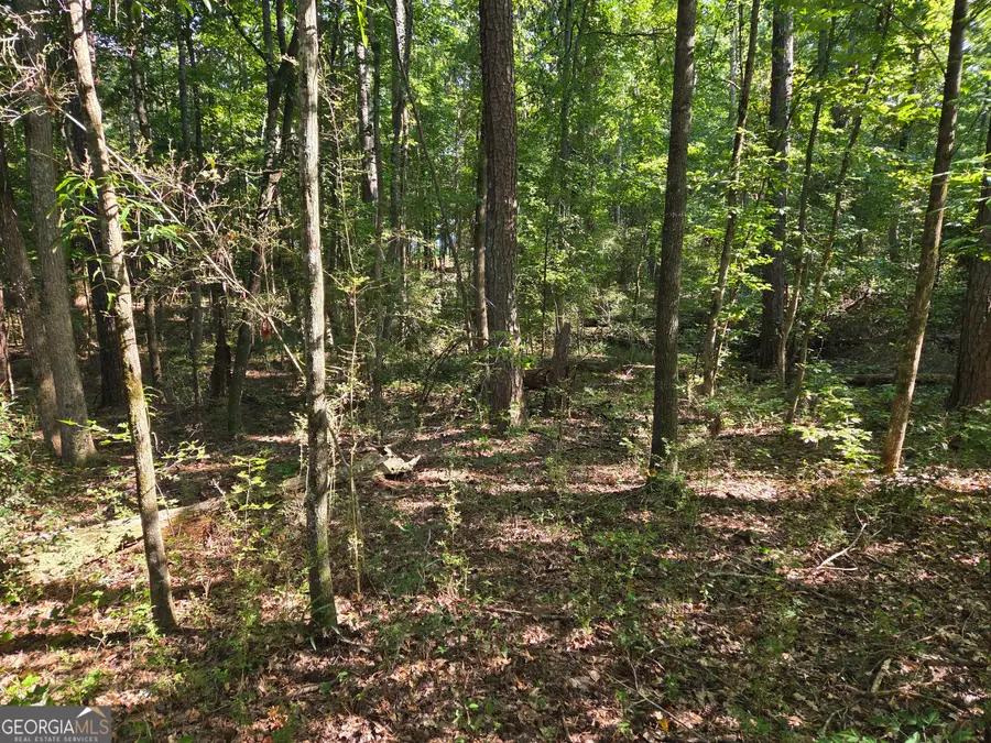 0 Oak Road, Jenkinsburg, GA 30234 - #3