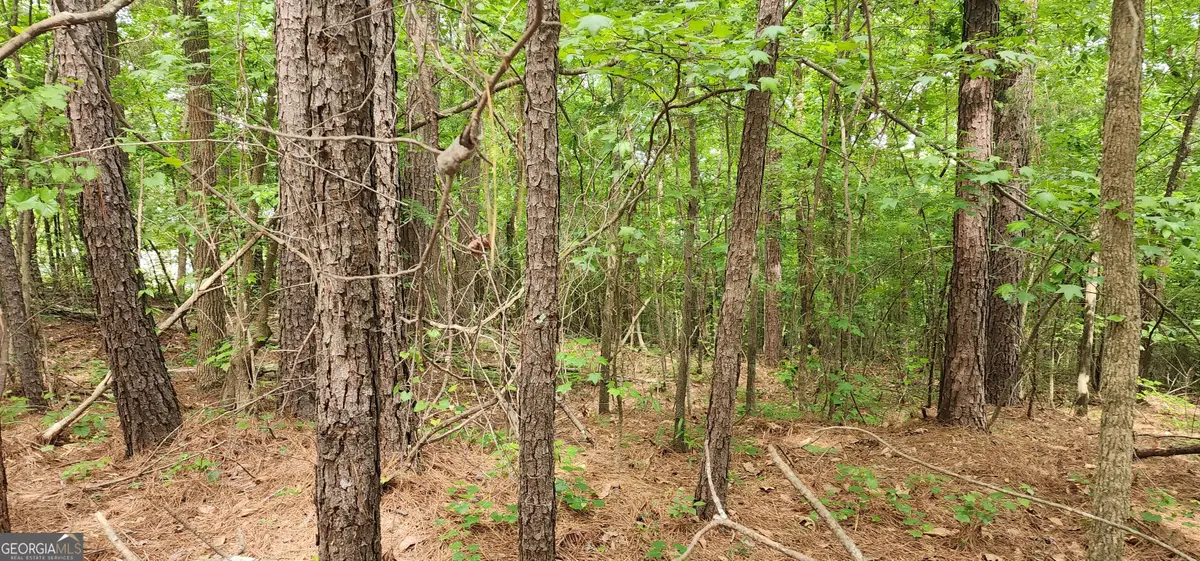 0 Rabbit Farm Road, Loganville, GA 30052 - #1