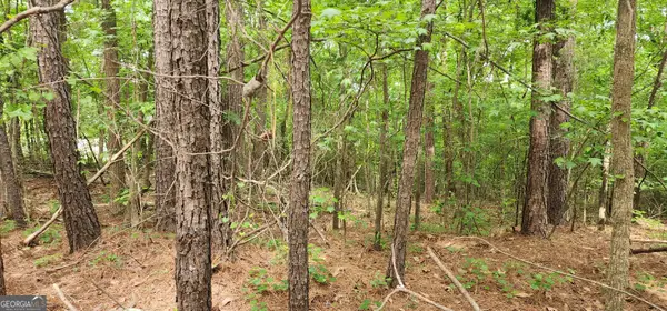 0000 Rabbit Farm Road, Loganville, GA 30052