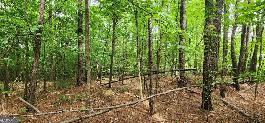 0 Rabbit Farm Road, Loganville, GA 30052 - #3