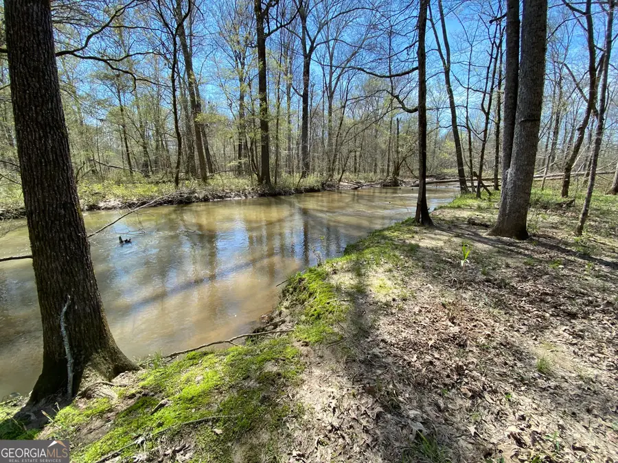 592 Arnold Caldwell Road, Carlton, GA 30627 - #2