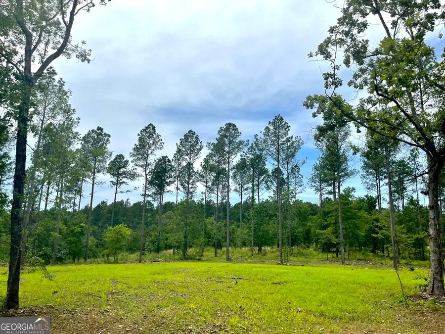 592 Arnold Caldwell Road, Carlton, GA 30627 - #3
