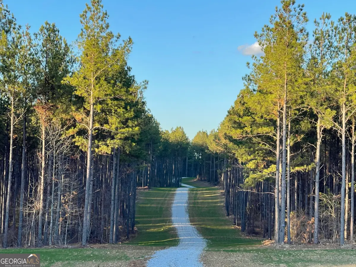 92 Lillian Strong Road, Carlton, GA 30627 - #1