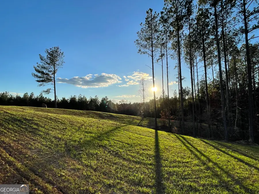 92 Lillian Strong Road, Carlton, GA 30627 - #2