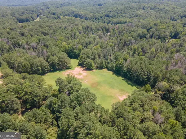 0 Rivertown Road, Chattahoochee Hills, GA 30268