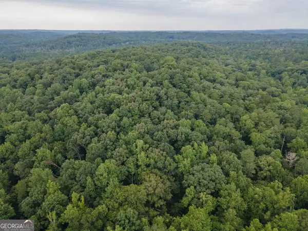 0 Brazell Road, Chattahoochee Hills, GA 30268