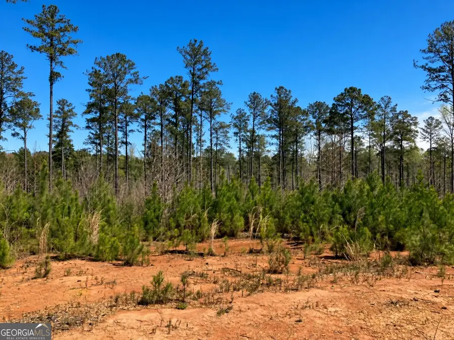 2920 Airline Road, McDonough, GA 30252 - #3