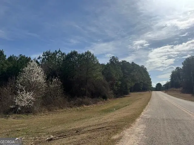39 Brush Creek Park Road, Franklin, GA 30217 - #1