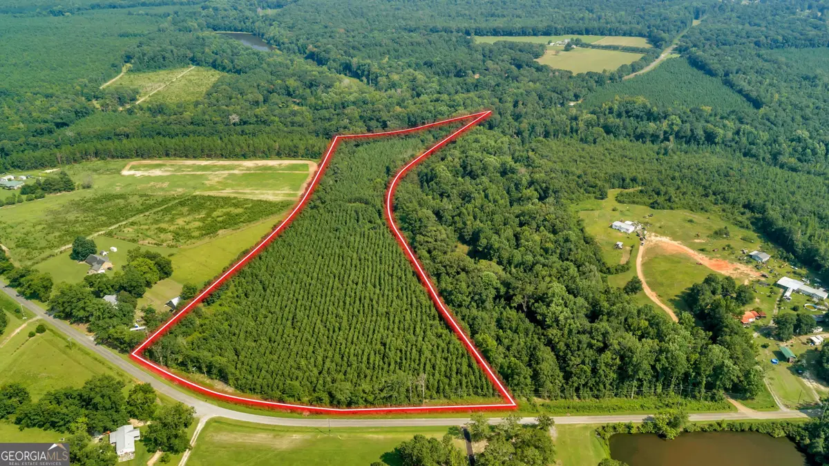 LOT A Atwell Road, Danville, GA 31017 - #1