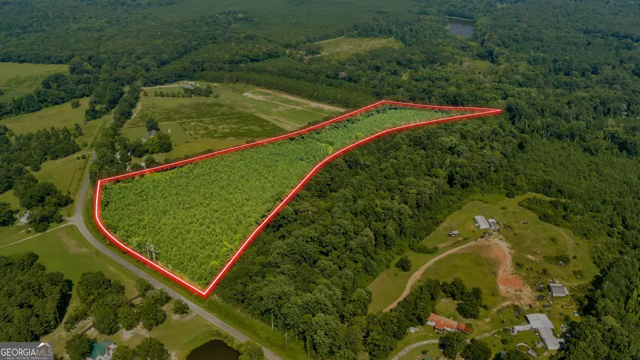 LOT A Atwell Road, Danville, GA 31017 - #3