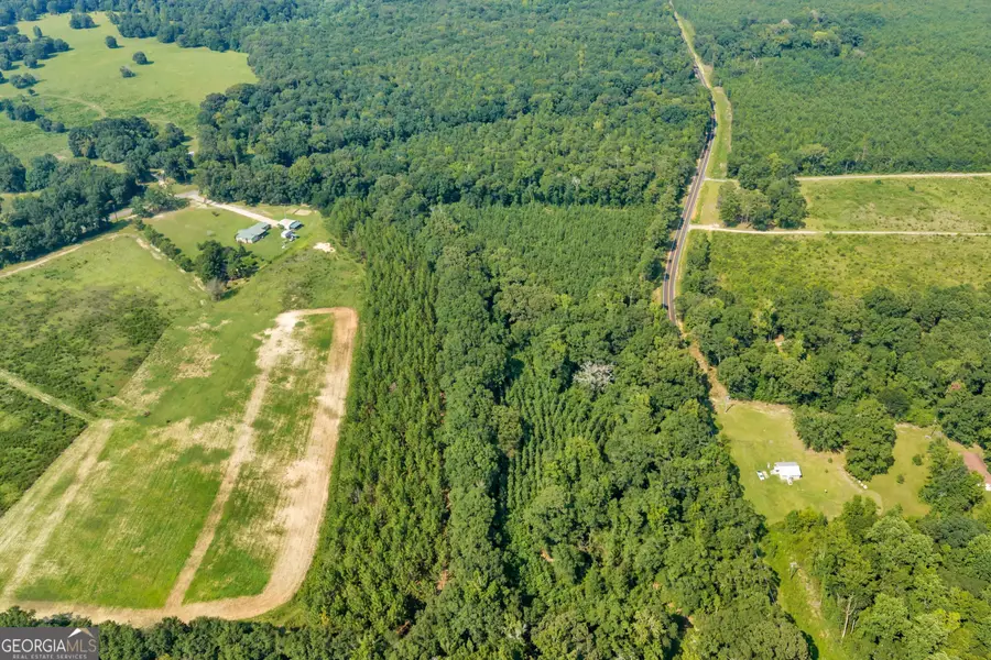 LOT C Atwell Road, Danville, GA 31017 - #2