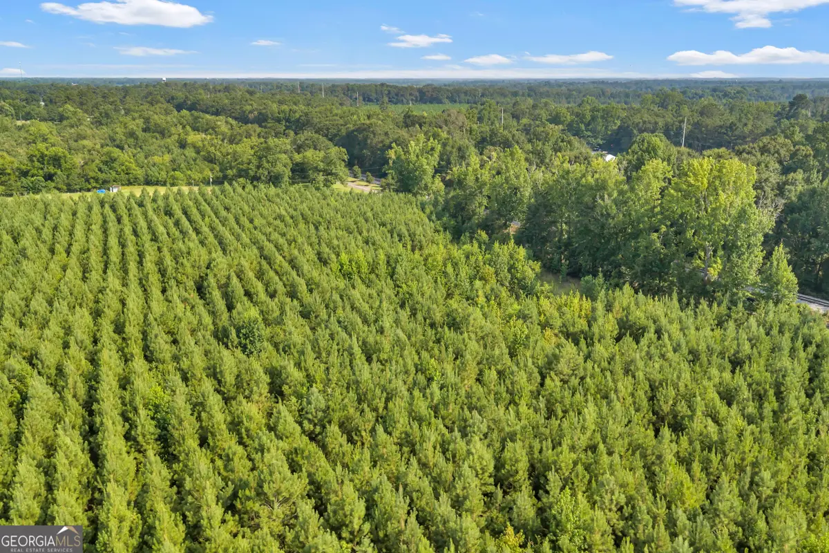 ALLEN LOT Turkey Creek Road, Danville, GA 31017 - #1