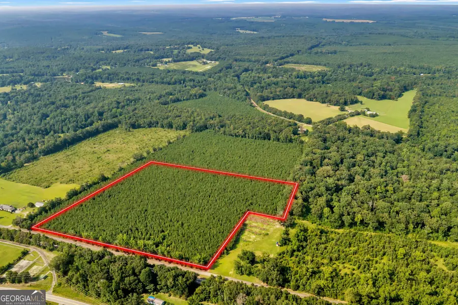 ALLEN LOT Turkey Creek Road, Danville, GA 31017 - #2