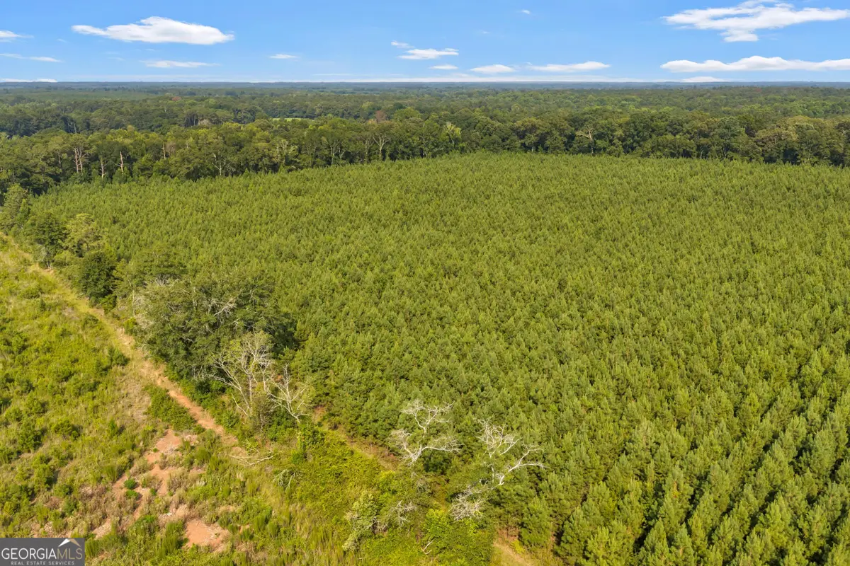 ALLEN LOT B Turkey Creek Road, Danville, GA 31017 - #1