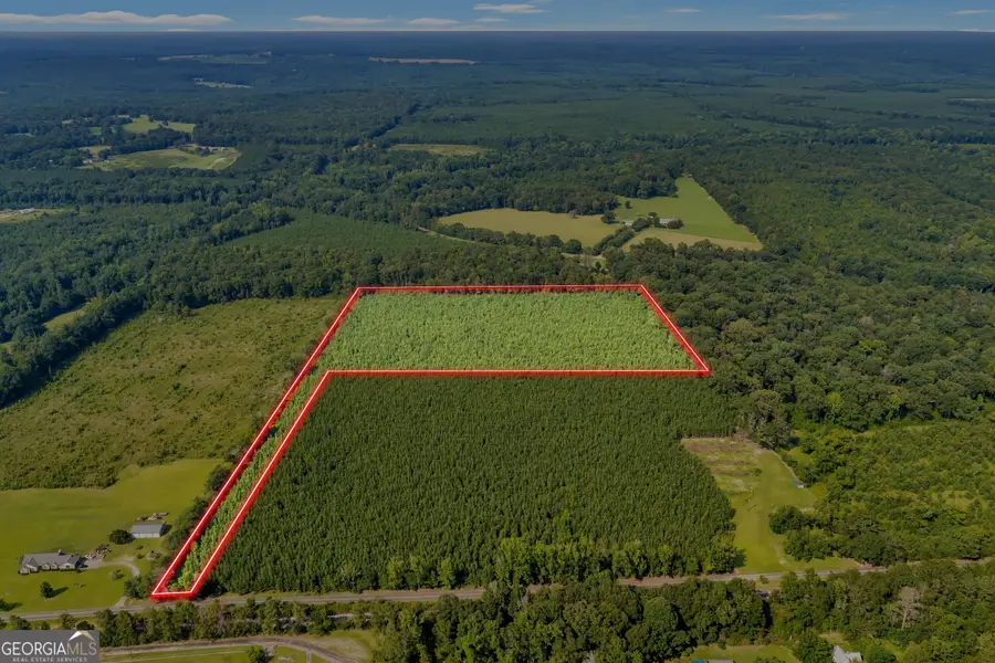 ALLEN LOT B Turkey Creek Road, Danville, GA 31017 - #2