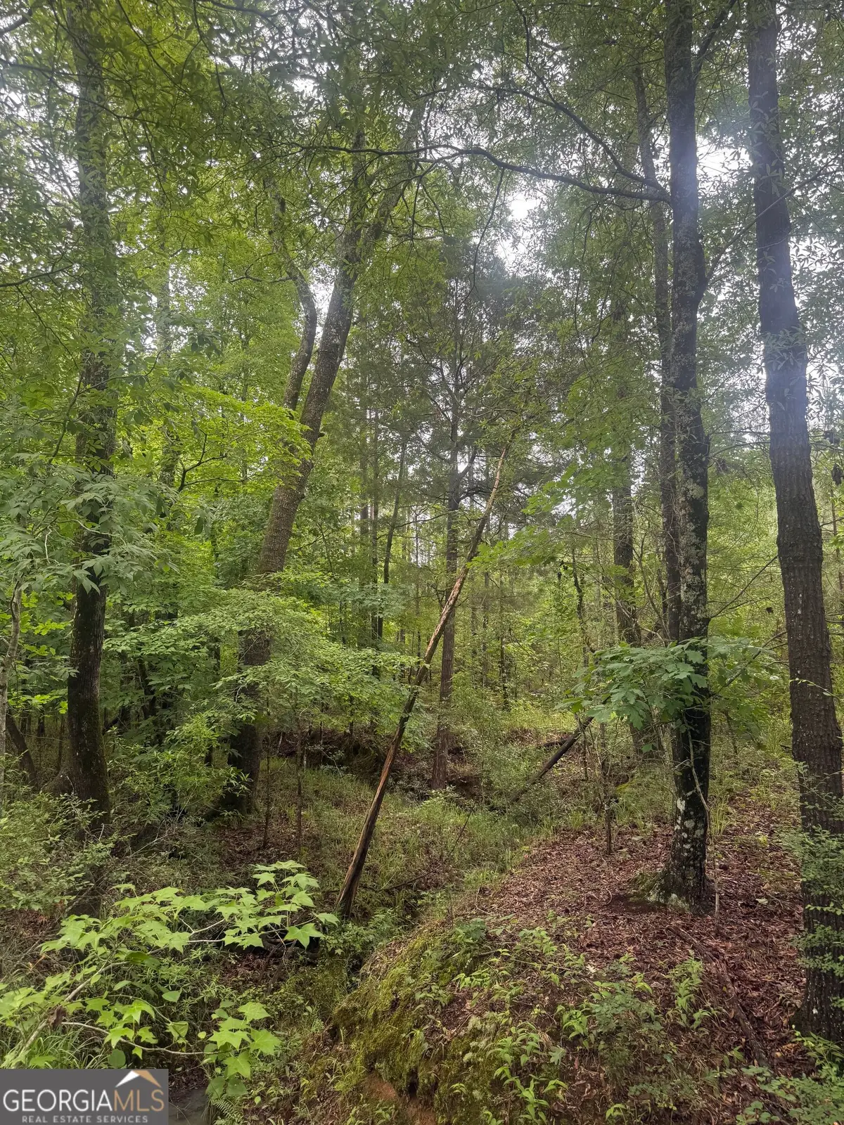 0001 Sandy Cross Road, Crawfordville, GA 30631 - #1