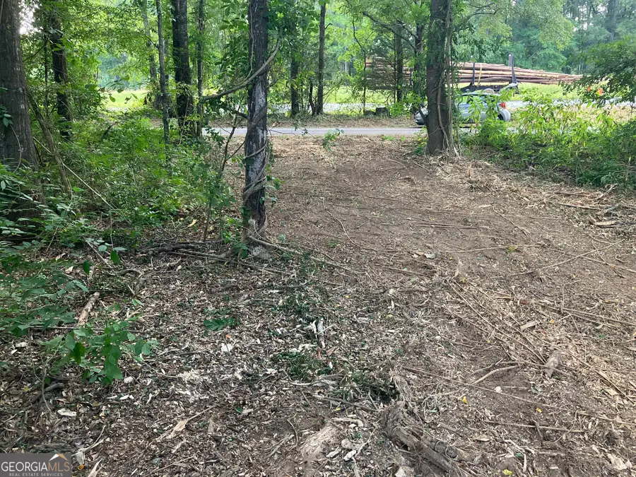 0 Durand Highway, Warm Springs, GA 31830 - #3