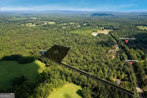 7704 Georgia Highway 100, Buchanan, GA 30113