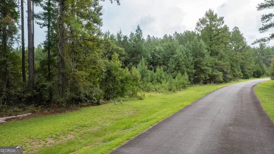 V/L La Sole Lane, Waverly, GA 31565 - #3