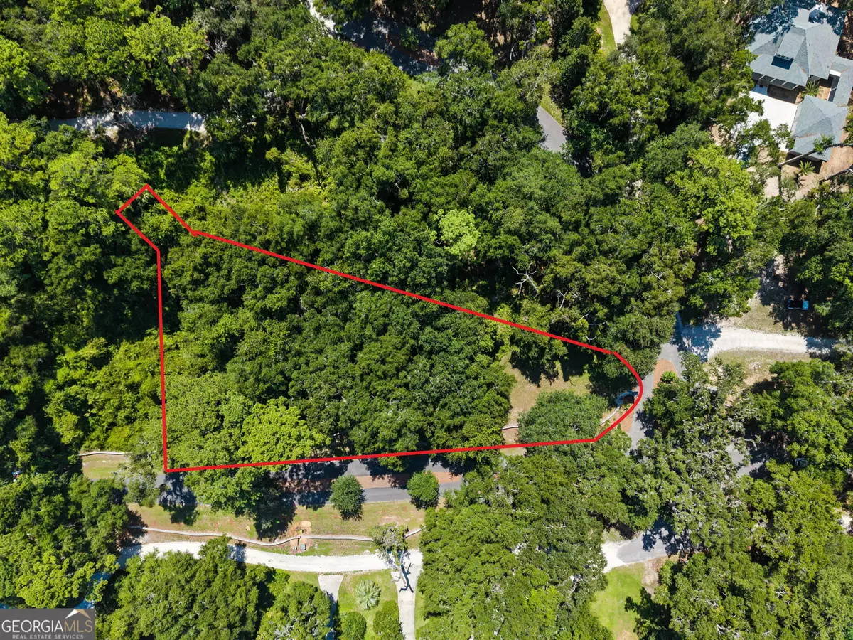 V/L 72 Mission Drive, Darien, GA 31305 - #1