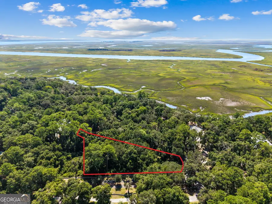 V/L 72 Mission Drive, Darien, GA 31305 - #2
