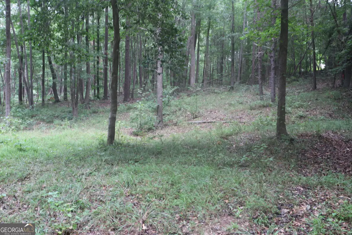 330 Mountain View Road, Lavonia, GA 30553 - #1