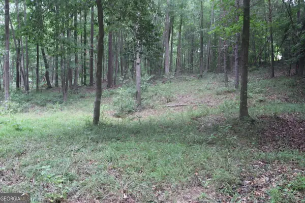 330 Mountain View Road, Lavonia, GA 30553
