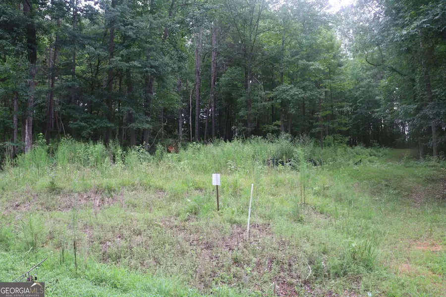 330 Mountain View Road, Lavonia, GA 30553 - #2