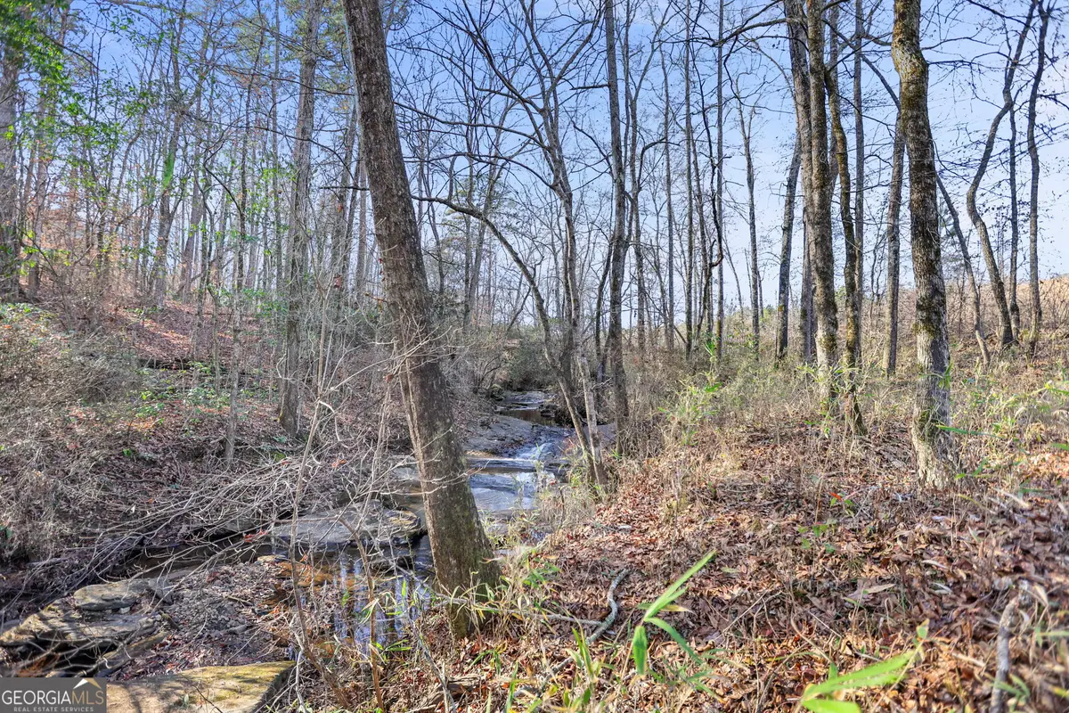 52.2 AC Franklin Parkway, Franklin, GA 30217 - #1